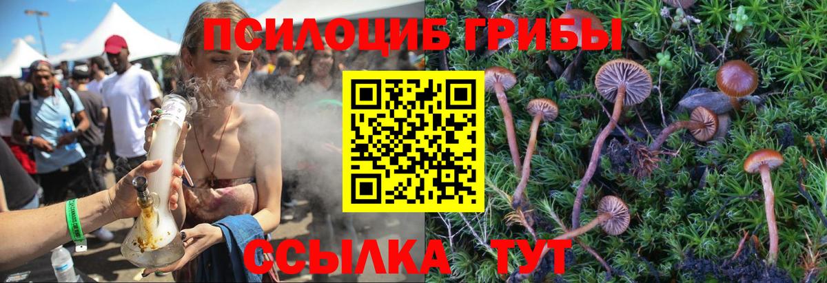 Невинномысск  Псилоцибиновые грибы MAGIC MUSHROOMS  Вход с VPN 